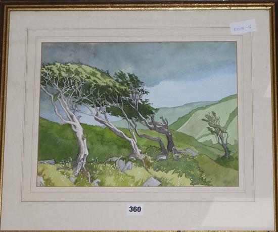 DVB Windswept trees 11.5 x 15in.